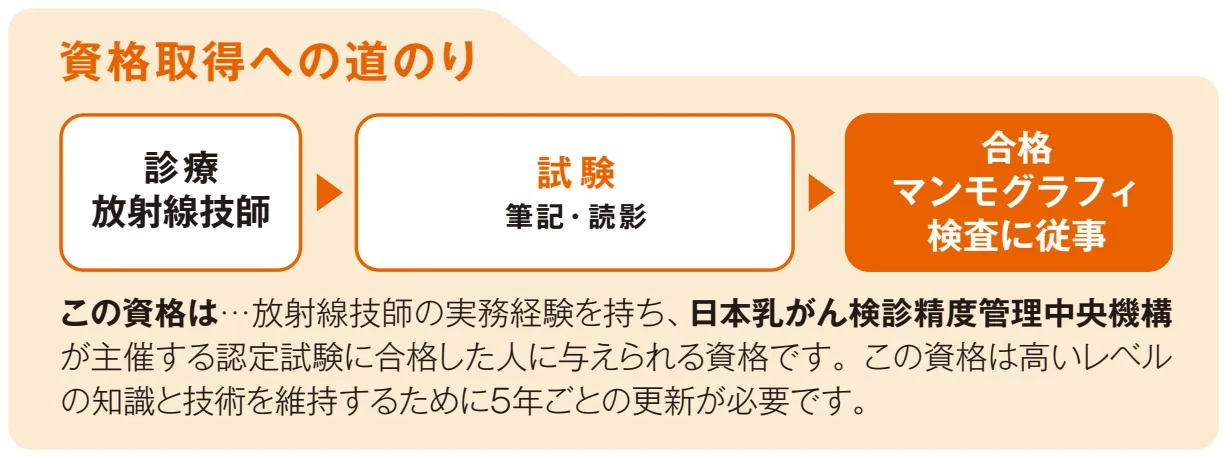 資格取得への道のり(マンモ).webp