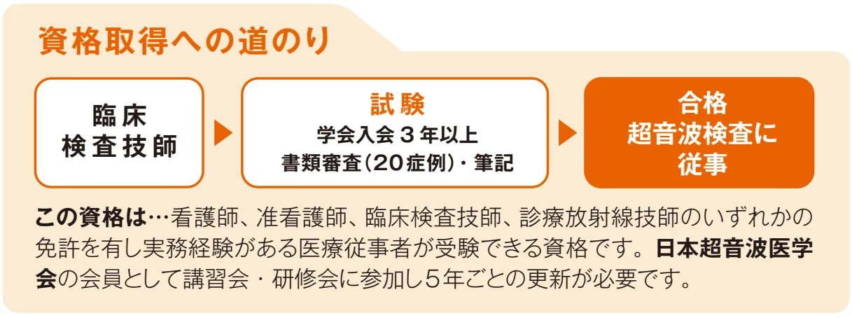 資格取得への道のり(超音波検査士).webp