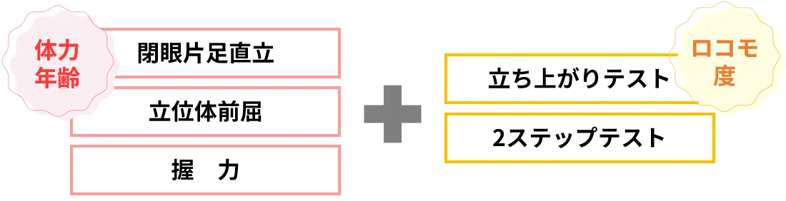 rocomo2.webp