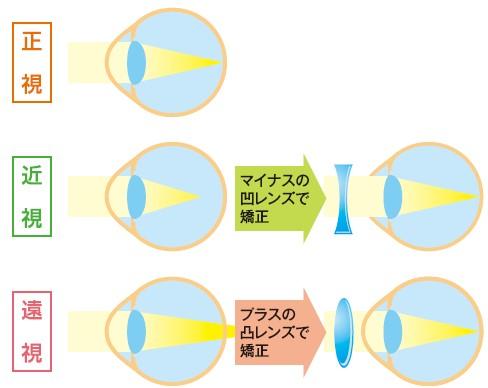 ドック視力検査_画像2.jpg