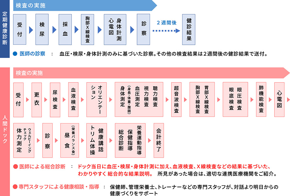 定期健康診断 人間ドックの流れ