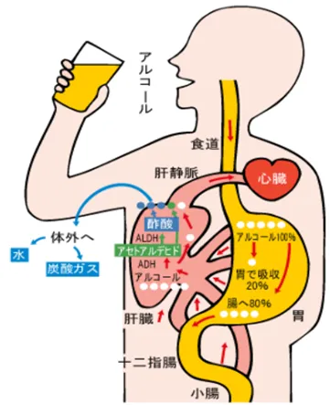 応援通信20250701.webp