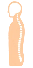 応援通信20250900.webp