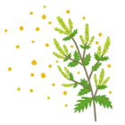 アレルギー疾患について