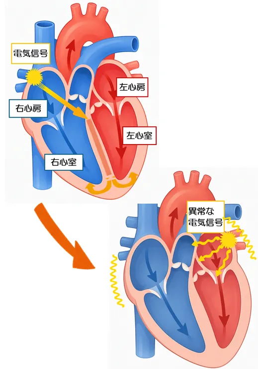 応援通信20260801.webp
