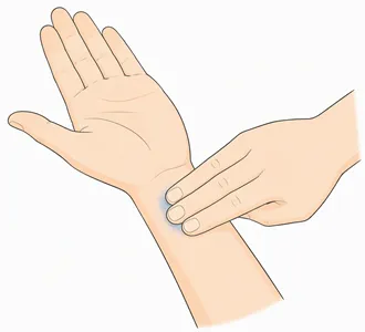 応援通信20260804.webp