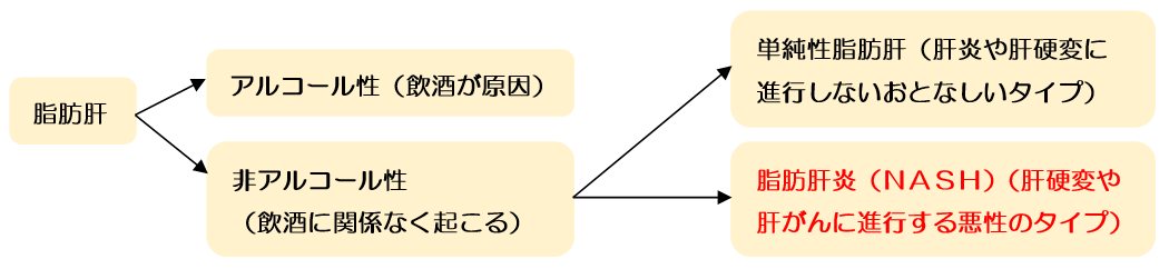 非アルコール性の脂肪肝について 健康トピックス 新着情報 新潟ウェルネス 非アルコール性の脂肪肝について 健康トピックス 新着情報 新潟ウェルネス