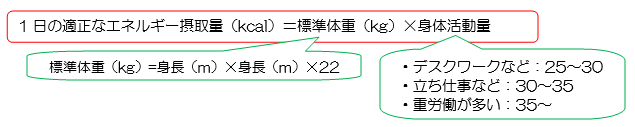 エネルギー摂取量.png