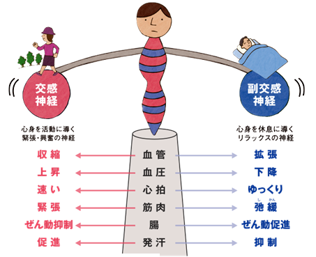 春と自律神経の乱れについて 健康トピックス 新着情報 新潟ウェルネス