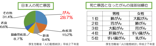 死因統計と臓器別のがん統計-600x180.png